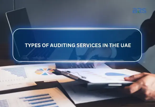 Types of Auditing Services in the UAE